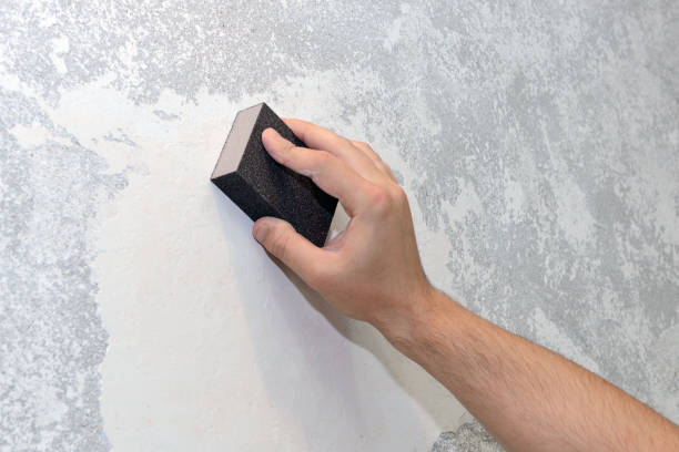 Best Mold Damage Restoration  in Morrow, GA