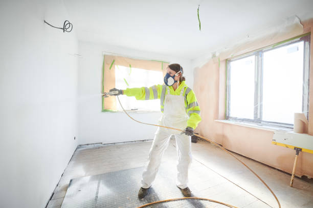 Best Mold Remediation for Vacation Homes  in Morrow, GA