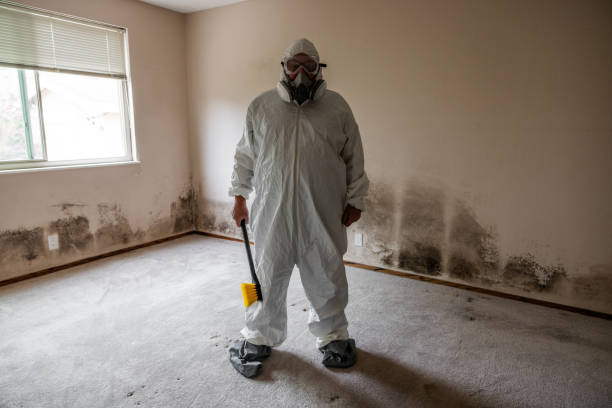 Best Black Mold Removal  in Morrow, GA