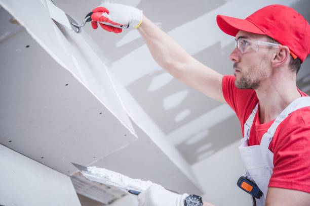 Best Biohazard Mold Removal  in Morrow, GA